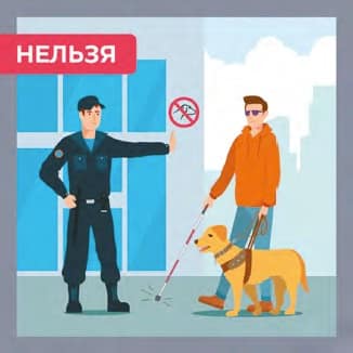 Сотрудники охраны запрещают проходить с собакой-проводником. Они неправы.